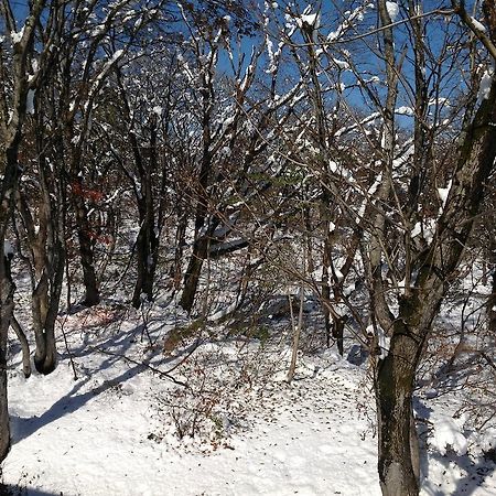 Myoko Kogen Pension Yamasan Экстерьер фото