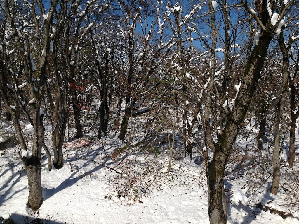 Myoko Kogen Pension Yamasan Экстерьер фото